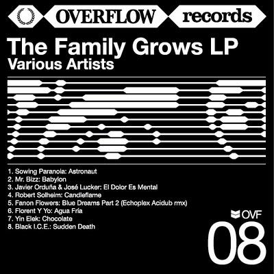 Fanon Flowers - Blue Dreams Part. 2  (Echoplex acidub remix)[ Overflow Records ] 2010