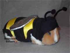 Méfiez-vous (des zimitations)