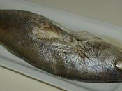 Poisson papillote...de papier journal