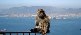 Certains habitants de Gibraltar