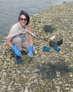 La patelle de Proust