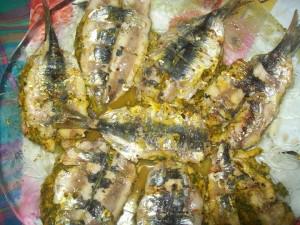 Sardines farcies – de Mimi