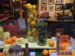 39 - Vitrine galerie du roi.JPG