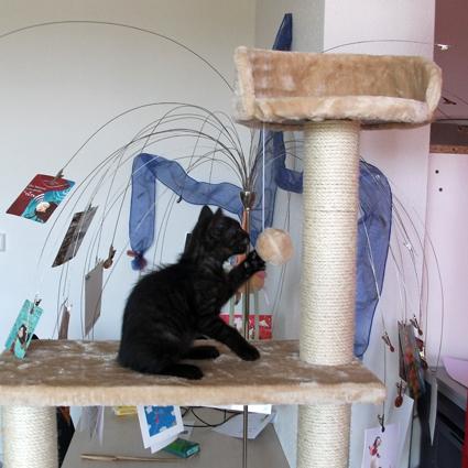 un faire-part de naissance… pas comme les autres