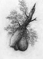 didier trenet La feinte trenet-apologie-de-la-distance-la-feinte-2.1280169591.jpg