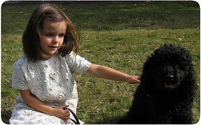 lisandre en robe brodée rose desbois