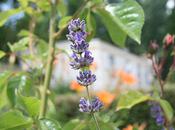 vous abandonne quelques jours, besoin ressourcer...