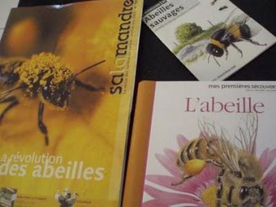 Chasseur d'insectes et identification