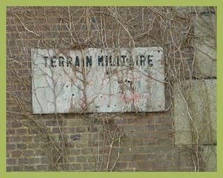 Les jardins suspendus (1)