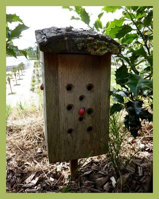 Les jardins suspendus (1)