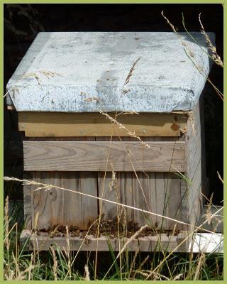 Les jardins suspendus (1)