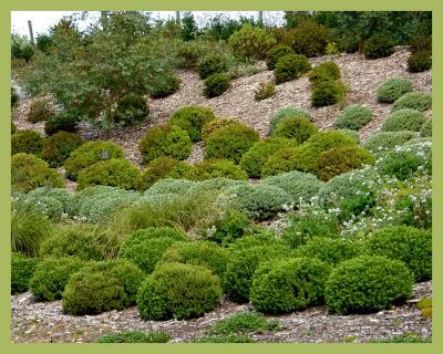Les jardins suspendus (1)