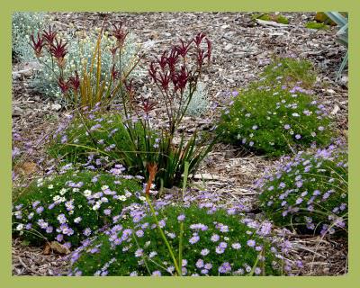 Les jardins suspendus (1)