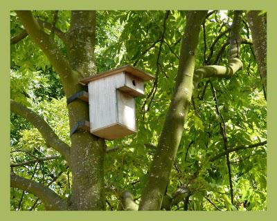 Les jardins suspendus (1)