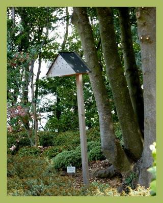 Les jardins suspendus (1)