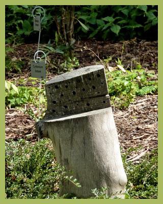 Les jardins suspendus (1)