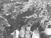 découvertes samedi: Hêtre remarquable.