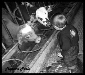 Deux indices sur mon lieux de vacances actuel!