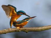 L'amour dans ailleurs...