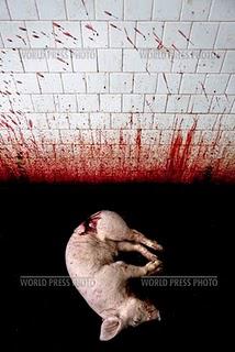 World Press Photo 2010