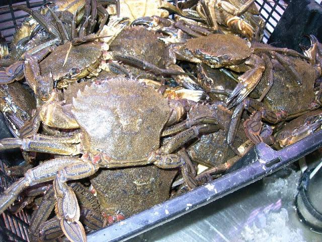 LES CRABES FARCIS  façon mamie