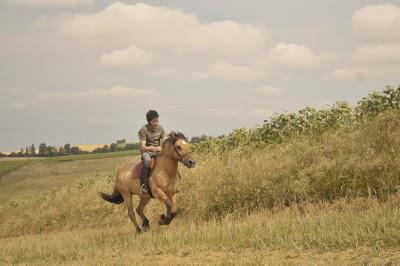 Galop