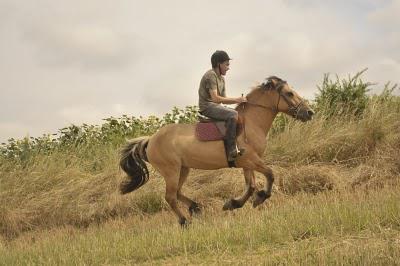 Galop