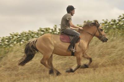 Galop