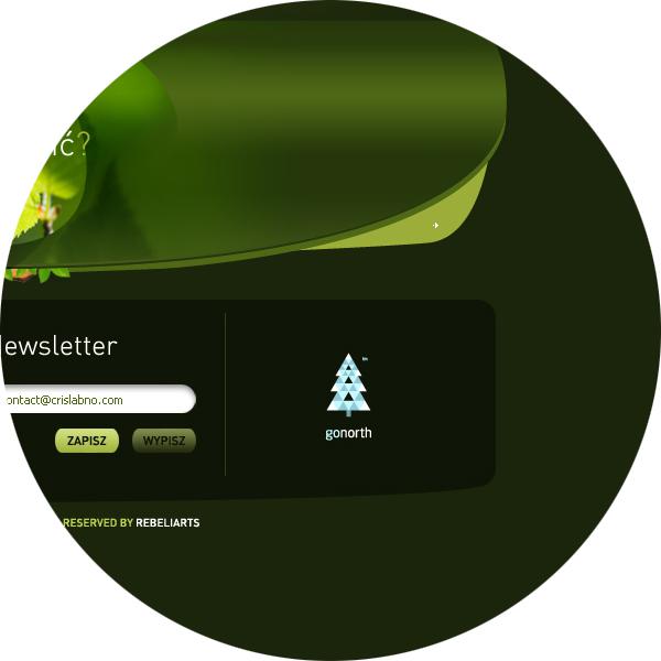 Web design // Inspiration // The most perfect design ever