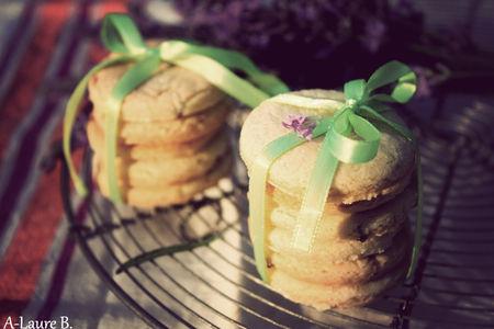 sables_lavande_092_copie