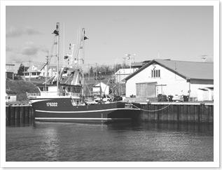 tourisme-gaspesie-peninsule-gaspesienne-touriste-gaspe