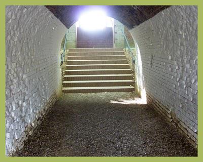 Les jardins suspendus (2)