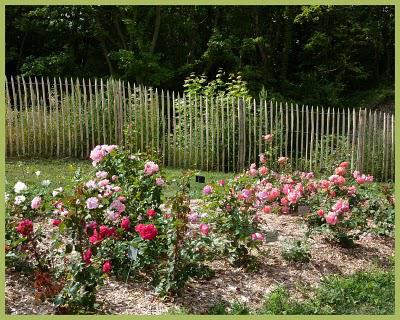 Les jardins suspendus (2)