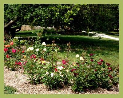 Les jardins suspendus (2)
