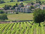 Perdons nous dans vignes lundi août