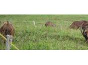 Sixième promenade pied vélo