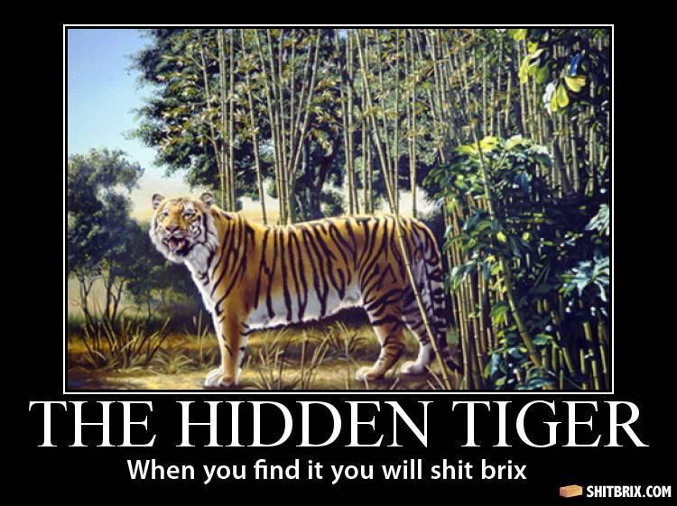 the-hidden-tiger-92178
