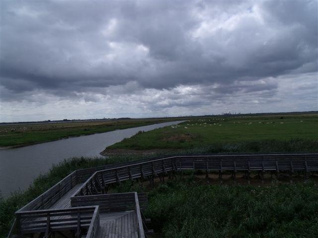 LAVAU vaches et compagnie