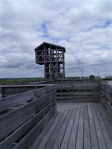 LAVAU vaches et compagnie