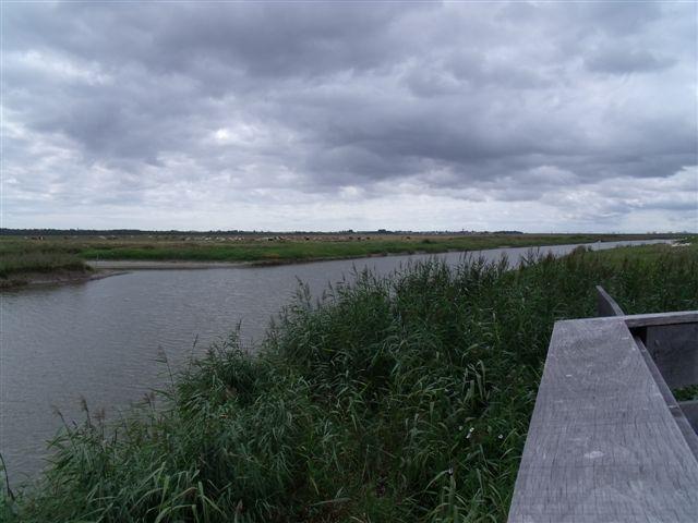 LAVAU vaches et compagnie