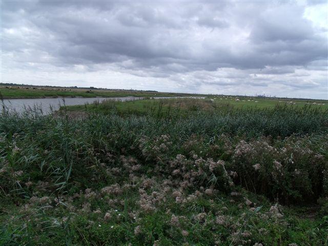 LAVAU vaches et compagnie