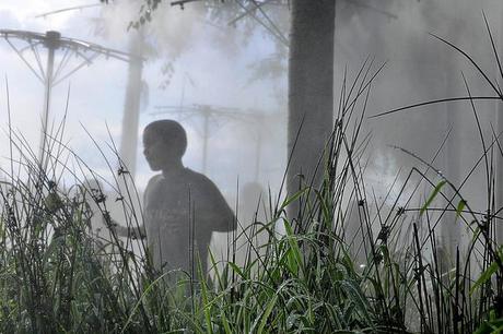 Paris plage 2010 (8461).jpg