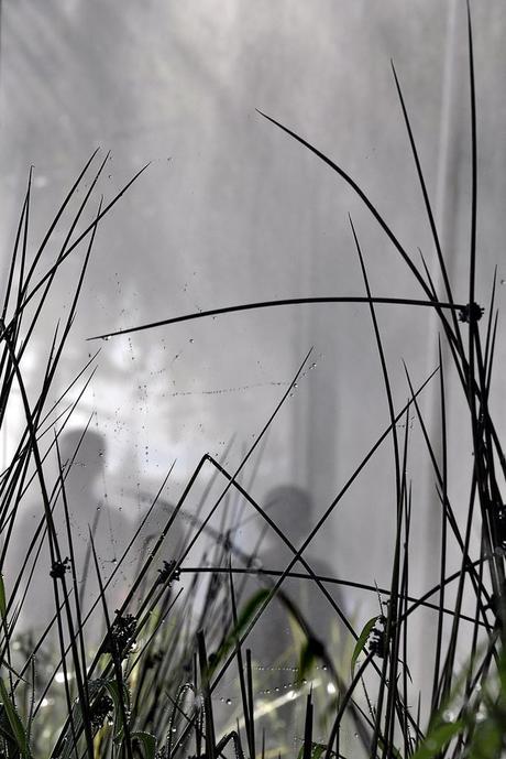 Paris plage 2010 (8459).jpg