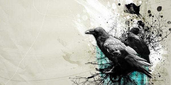 Nos Lecteurs ont du talent !  #6