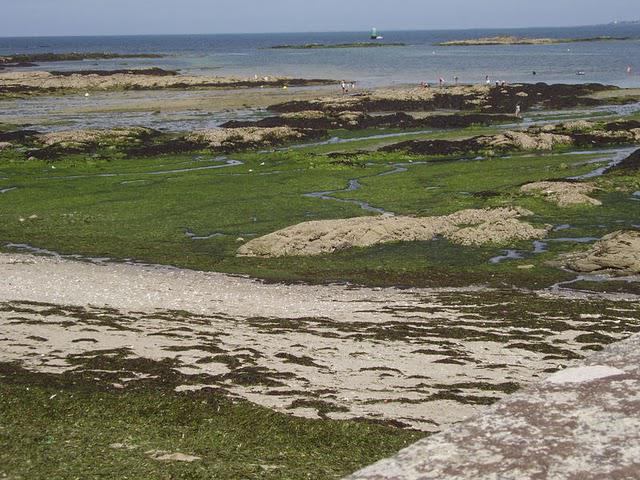 DES PAYS INCONNUS SECHERONT SUR LE SABLE