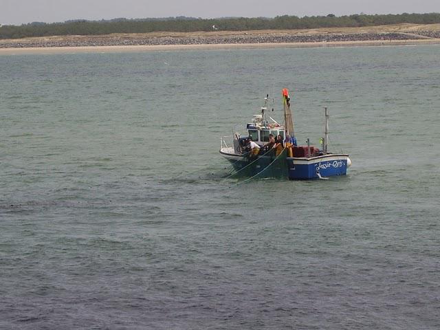 DES PAYS INCONNUS SECHERONT SUR LE SABLE