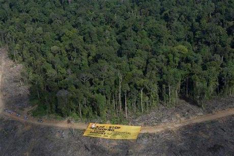 Indonésie : Greenpeace lance un appel à APP