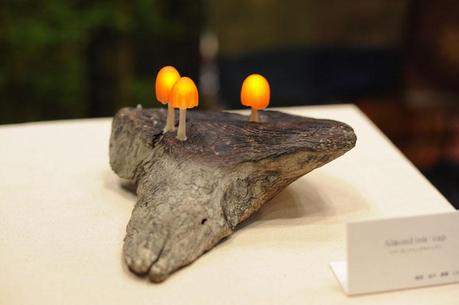 great_mushrooming_6 Aux champignons