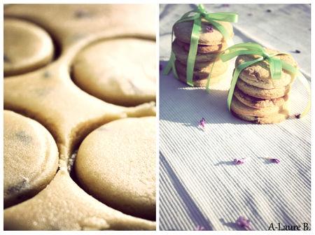 sables_lavande_069_copie