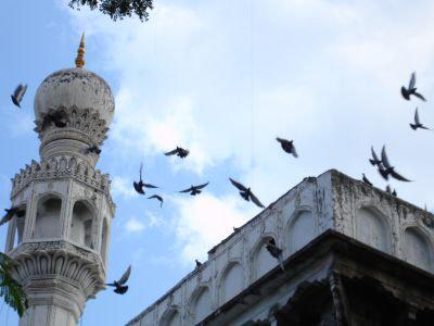 En t’attendant (Ismaïl Kadaré)
